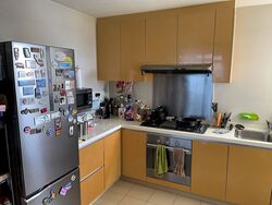 City Square Residences (D8), Condominium #395408381